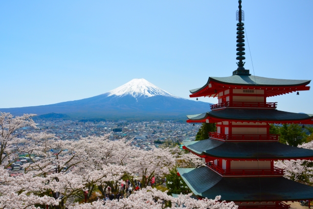 view of cherry blossoms in Arakurayama Sengen Park