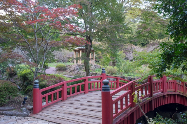 close view of Atami Plum Garden