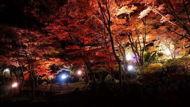 view of Atami Plum Garden