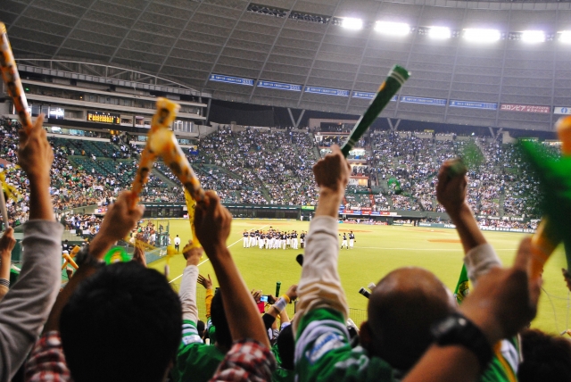 Baseball Game at Belluna Dome