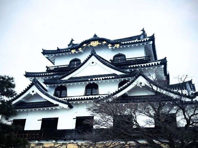 Close View of Hikone Castle 