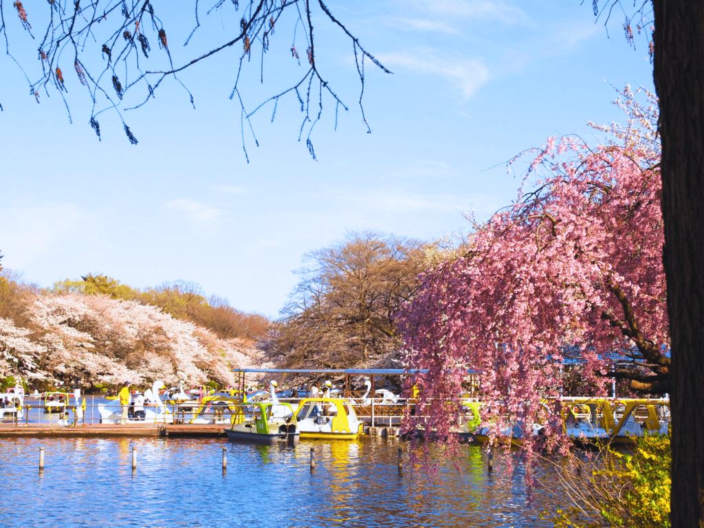 local-activities-and-sightseeing