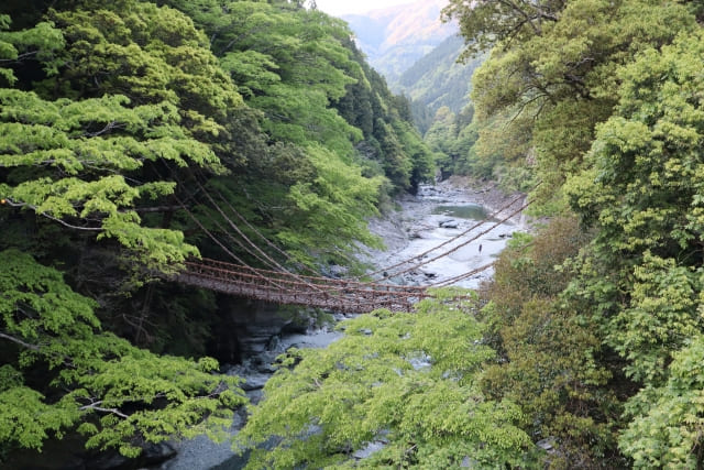 Kazurabashi-Vine-Bridge