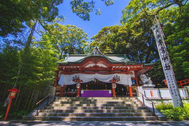sacred camphor tree at Kinomiya Shrine