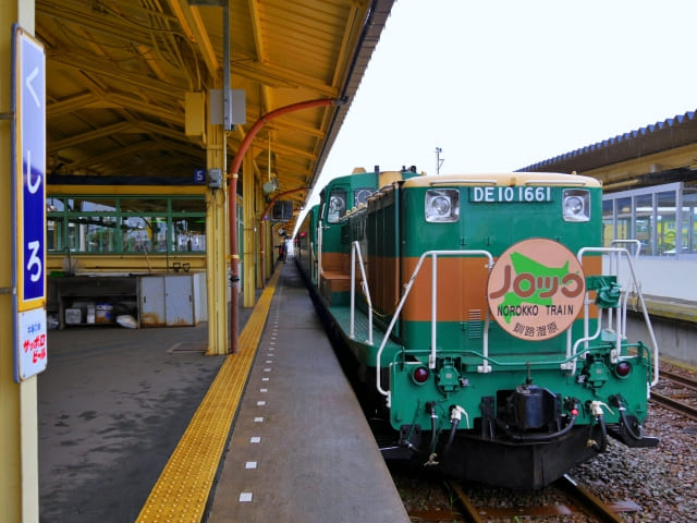 Norokko Train stopped at the station