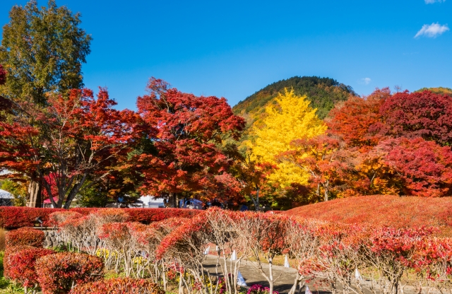 Lake Kawaguchi: The Jewel of the Five Lakes