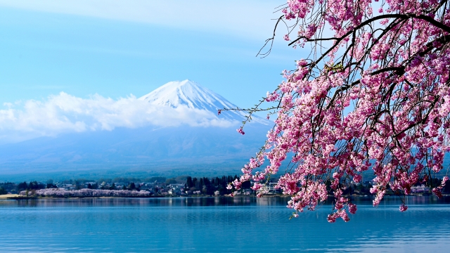 Boat cruise on Lake Kawaguchi