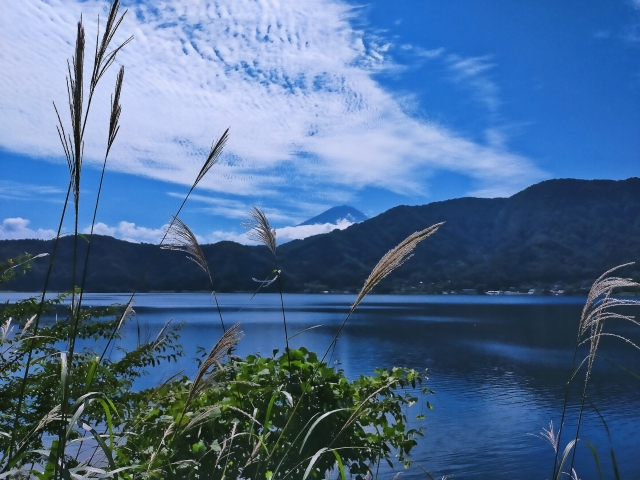 Lake Sai: The Hidden Gem of Japan