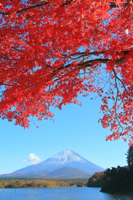 view of Lake Shoji