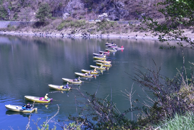 surroundings of Lake Shoji
