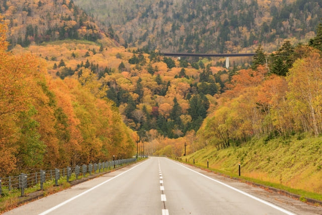 Autumn foliage at Mikuni Pass