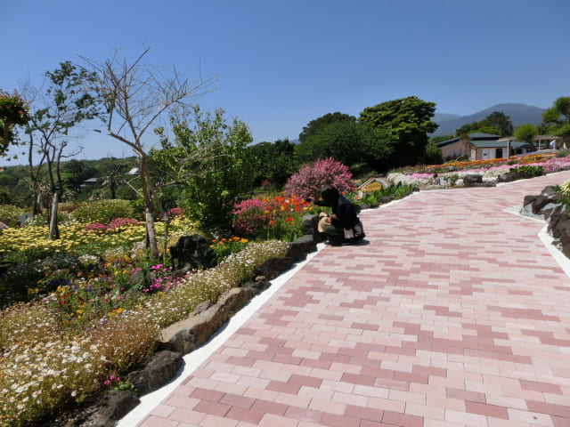 close view of the Flower Garden
