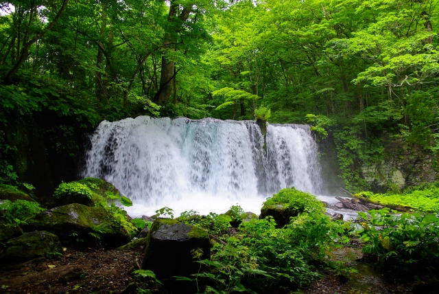 Oirase Gorge stream and forest