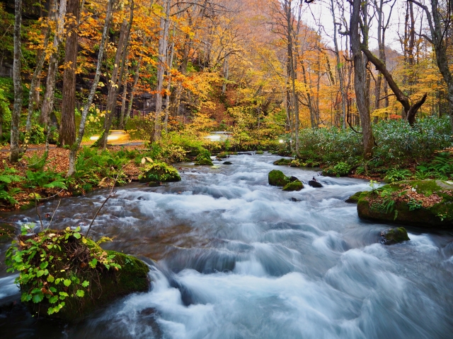 Autumn foliage in Oirase Gorge