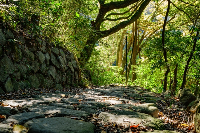 Scenic view along Old Hakone Road