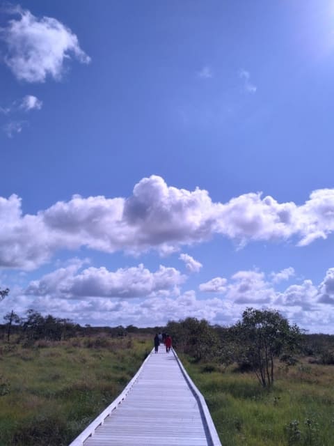 Birdwatching at Onnenai Boardwalk