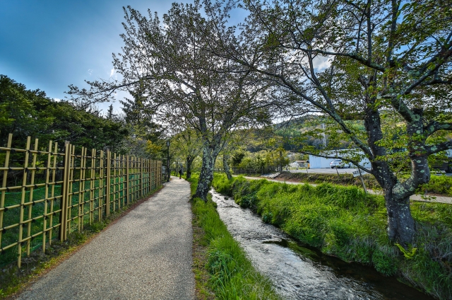 Surrounding beauty of Oshino Hakkai Springs