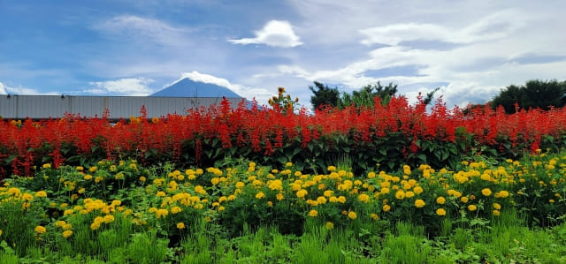 Oshino Hakkai with red and yellow flowers under a cloudy sky