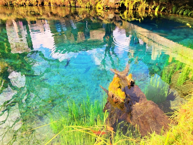 Clear pond at Oshino Hakkai