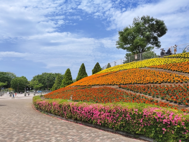 famous for its tower, flowers and athletic fields