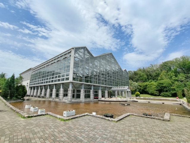 Spacious green lawns and tree-lined paths in Sagamihara Prefectural Park