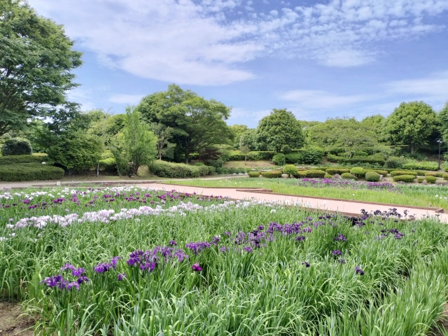 walking path in Sagamihara Prefectural Park