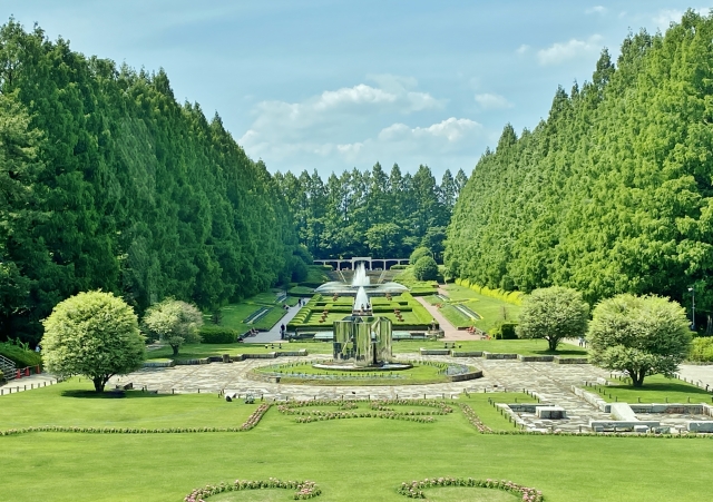 pond in Sagamihara Prefectural Park