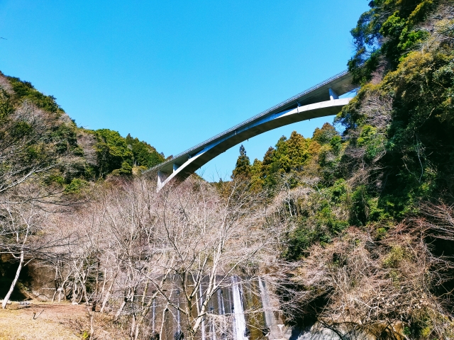 Sarugakyo Bungy