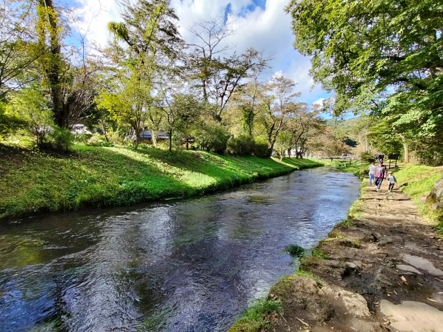 scenic view along the river
