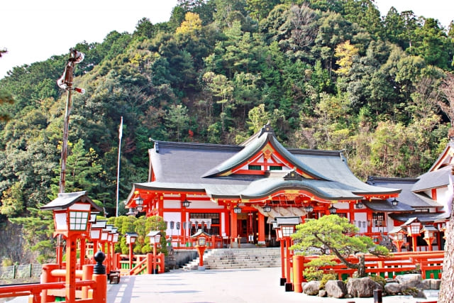 Torii gates at Taikodani Inari Shrine