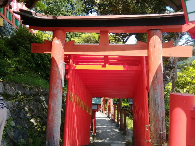 Main hall of Taikodani Inari Shrine