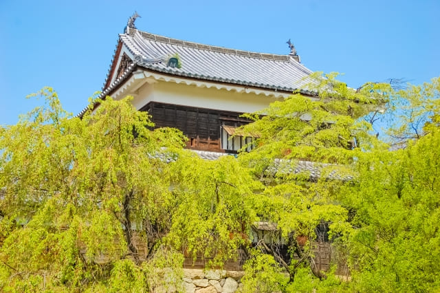 close view of Ueda Castle
