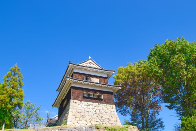 Cherry blossoms at Ueda Castle