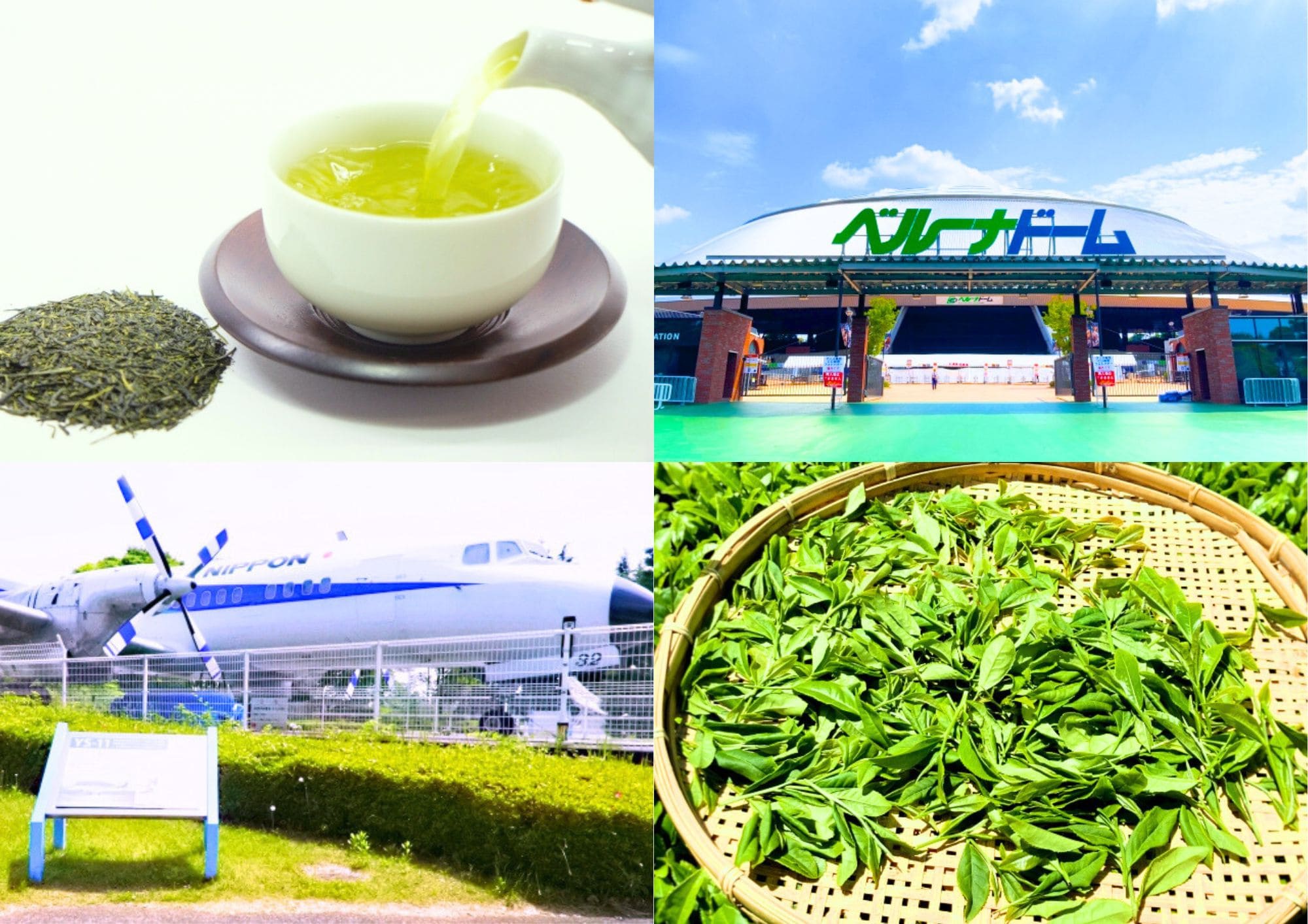 Vast green rows of Sayama tea fields under the clear sky